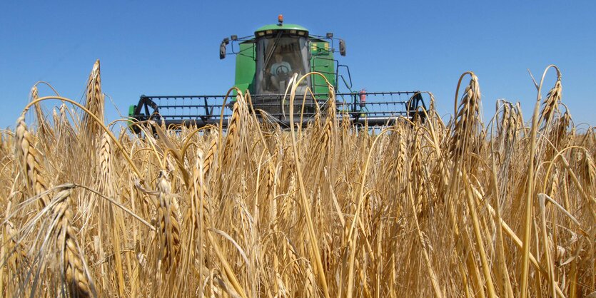 Traktor auf einem Weizenfeld