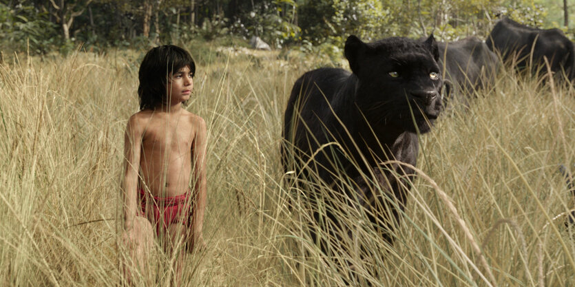 Das Menschenkind Mogli und der Panther Baghira laufen durch hohes Gras