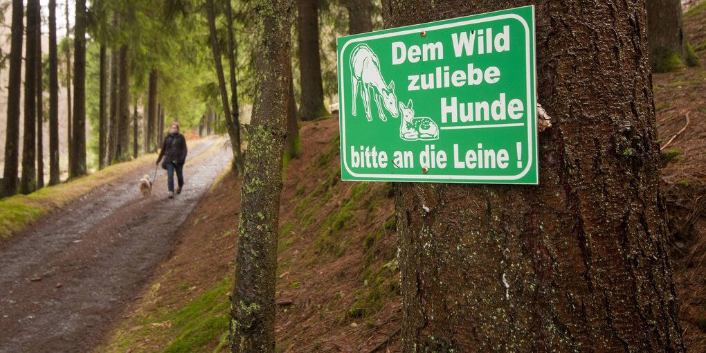 Frau mit Hund auf einem Waldweg, an einem Baum ein grünes Schild