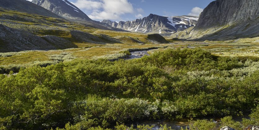 oberhalb der Baumgrenze: Fjell im Nationalpark Rondane