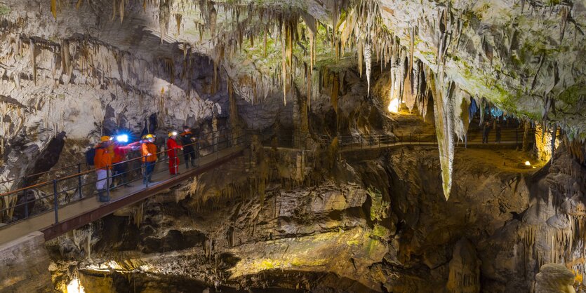 Besucher in der Höhle von Postojna