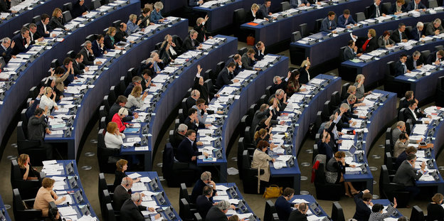Abgeordnete des Europäischen Parlaments.