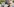 Porträt Viktor orban, im Hintergrund ein Polizeimotorrad