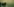 Mehrere Personen laufen im Nebel über ein Feld