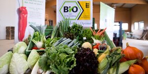 Bio-Gemüse liegt auf einem Tisch
