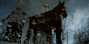 Ein trojanisches Pferd durch eine mit Regentropfen benetzte Scheibe gesehen