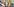 Ein orthodoxer Priester und andere Menschen auf einem Friedhof