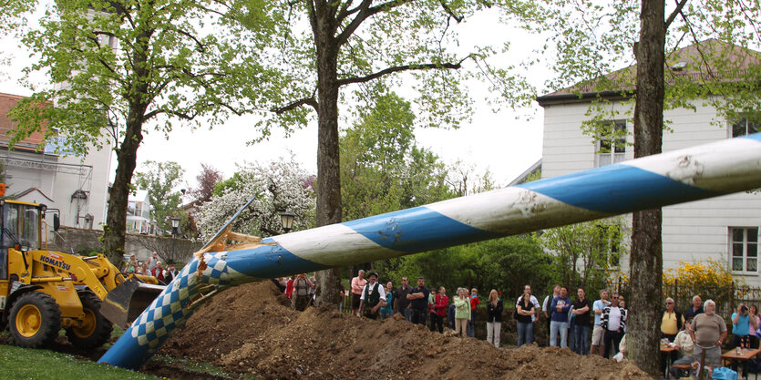 Bagger fällt Maibaum