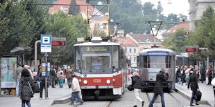 Zwei Straßenbahnen stehen an einer Haltstelle