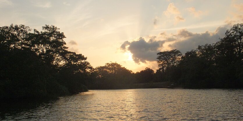 Eine Wasserfläche, Wald, Himmel, Wolken und Sonnenuntergang