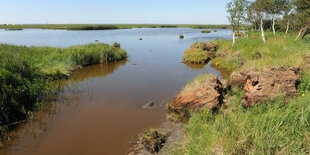 Das schwimmende Moor an der Jade