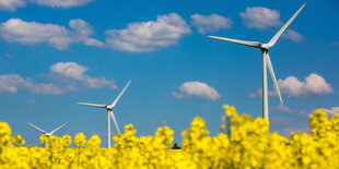 Zwei Windräder vor blauem Himmel mit wenig Wolken, im Vordergrund ein Rapsfeld.