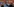 Ein älterer Mann mit Brille sitzt vor einer roten Wand mit goldenen Verzierungen und wird von Smartphones fotografiert