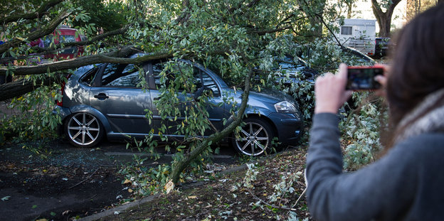 Eine Frau fotografiert ein Auto, auf das ein Baum gestürzt ist