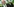 Winfried Kretschmann macht eine Geste mit der linken Hand