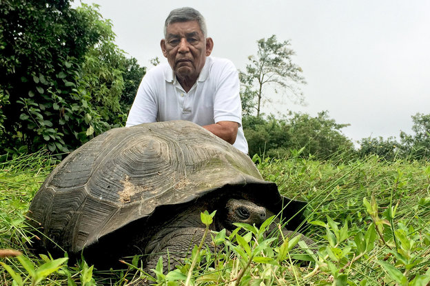 Ein Mann hockt hinter einer großen Schildkröte in der Wiese