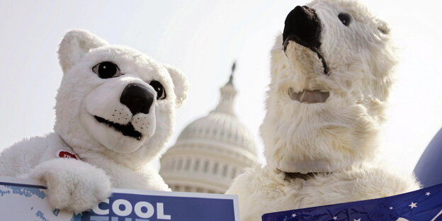 Zwei als Eisbären verkleidete Aktivisten vor dem Kapitol in Washington