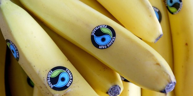 Bananen mit Fairtrade-Siegel