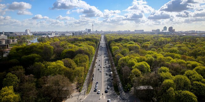 Tiergarten