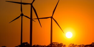 drei Windräder im Sonnenuntergang