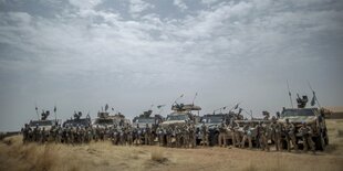 Blauhelmsoldaten stehen in einer Reihe vor ihren Fahrzeugen auf einem Feld