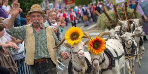 Ein Mann in traditioneller Kleidung führt mit Blumen geschmückte Ziegen vor einer Reihe Zuschauer entlang und hebt die Hand zum Gruß