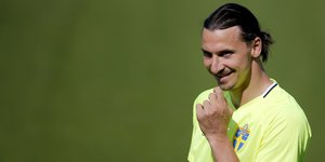 Zlatan Ibrahimovic steht auf Rasen und freut sich
