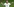 Benedikt Höwedes zuckt lächelnd mit den Schultern