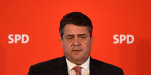 Profil Sigmar Gabriel