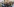 Demonstration der Identitären Bewegung in Berlin