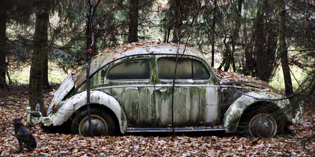 Ein moosbewachsener VW-Käfer steht im Wald