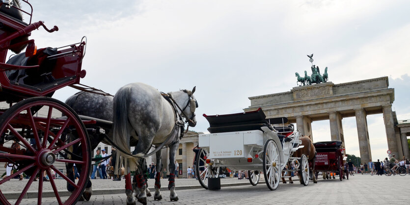 Pferdekutschen vor dem Brandenburger Tor