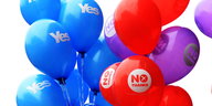 Blaue, rote und lilafarbene Luftballons, auf denen „Yes“ oder „No“ steht
