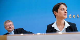 Petry und Meuthen sitzen in einer Pressekonferenz und schauen missmutig