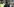 Rui Patricio, Gareth Bale und Cristiano Ronaldo klatschen vor dem Spiel ab