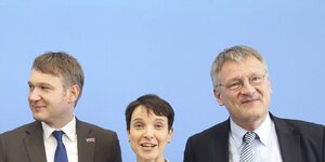 André Poppenburg, Frauke Petry und Jörg Meuthen
