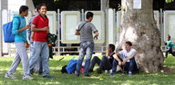 Junge Männer sitzen im Park und lehnen an einem Baum