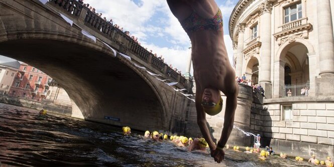 Ein Schwimmer springt kopfüber in die Spree.