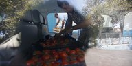 Ein Mann sortiert Tomaten