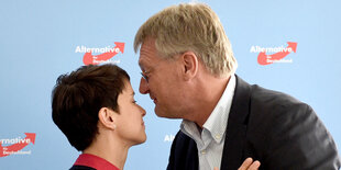 Frauke Petry und Jörg Meuthen