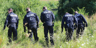 Eine Reihe von Polizisten sucht einen dicht bewachsenen Hang ab