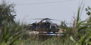 Zwei Grashalmen ist ein tarnfarbener Hubschrauber zu sehen