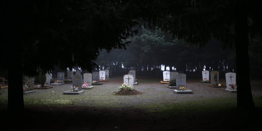 Ein Friedhofsfeld zwischen Bäumen