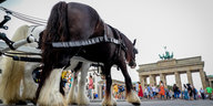 Eine Pferdekutsche fährt auf das Brandenburger Tor zu.