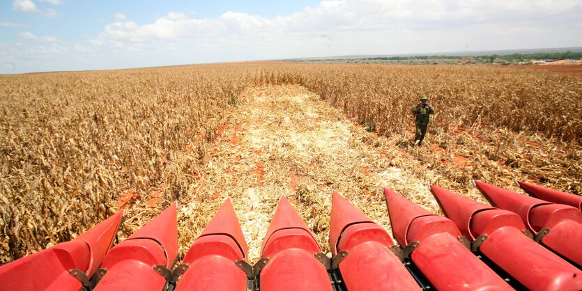 Erntemaschine in einem Feld