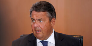 Sigmar Gabriel im Porträt