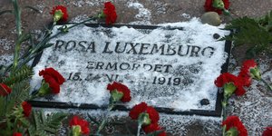 Rote Nelken liegen um den Grabstein von Rosa Luxemburg