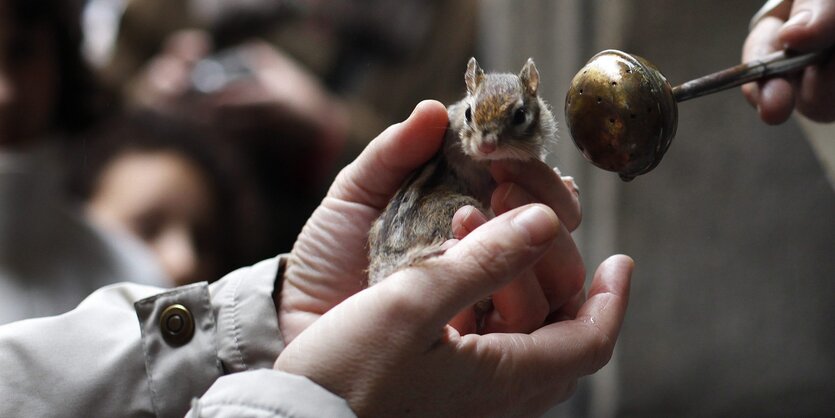 Ein Hamster wird gesegnet