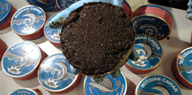 Dosen mit russischem Kaviar
