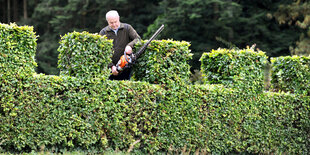 Ein Mann schneidet eine Hecke